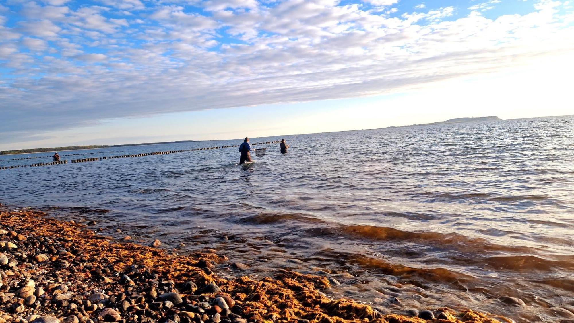 App 8O Grosser Tag Am Meer Mit Wasserblick Дранске Екстер'єр фото
